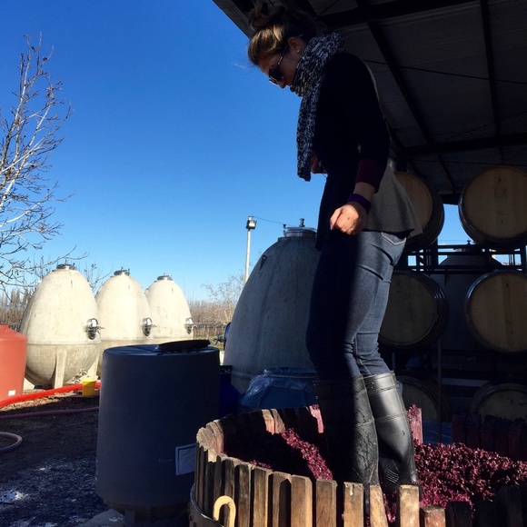 Meet your Posher, Virginia - Picture 2 of 4